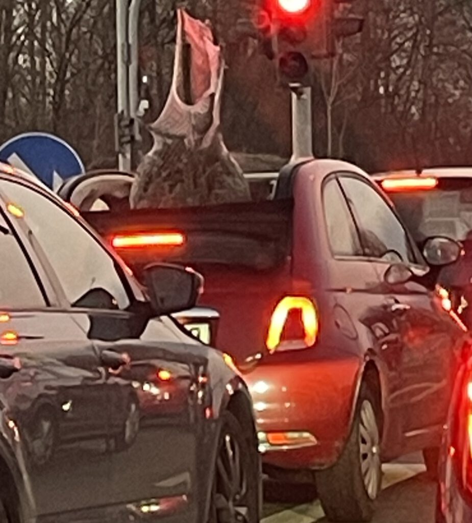 Fiat convertible with christmas tree projecting through open rooftop. 
